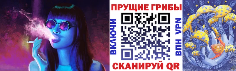 дарк нет Telegram Киров Галлюциногенные грибы ЛСД